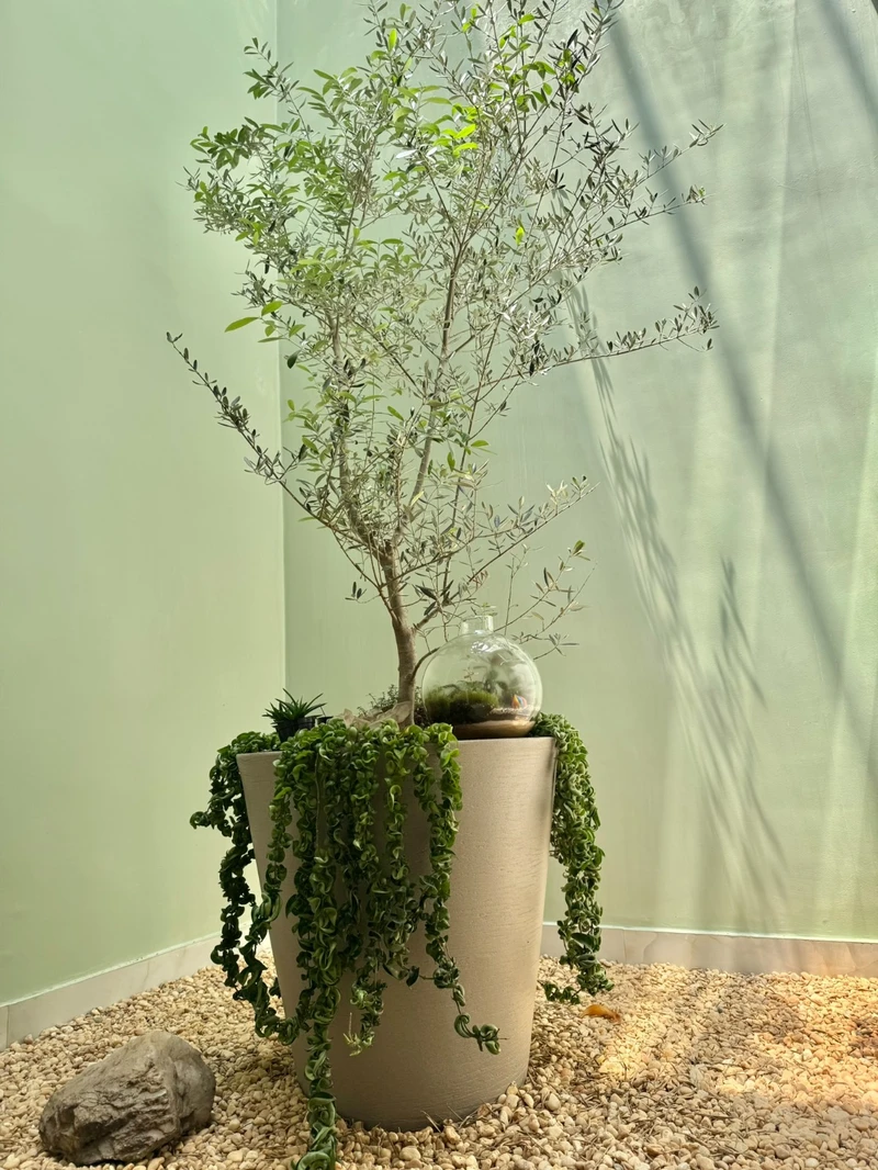 Tratamento bioestimulador de colágeno​